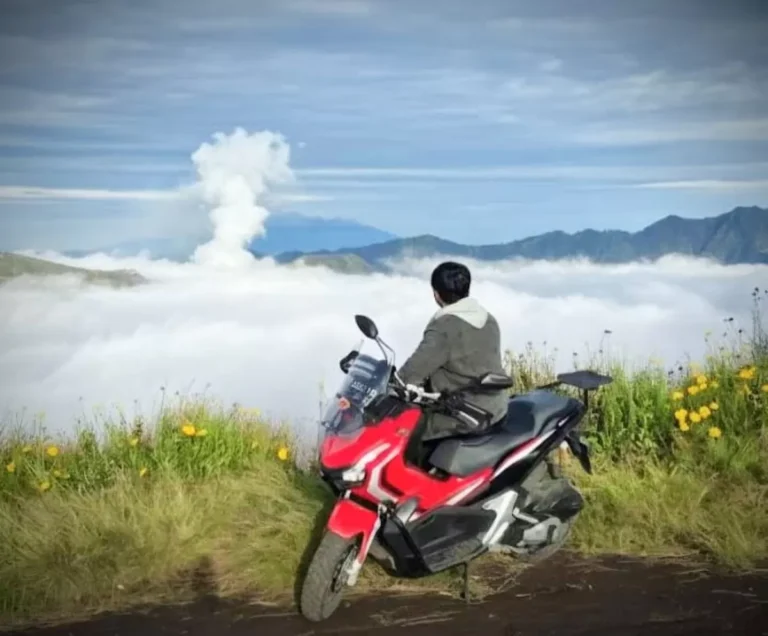 Penyewaan Motor Lumajang